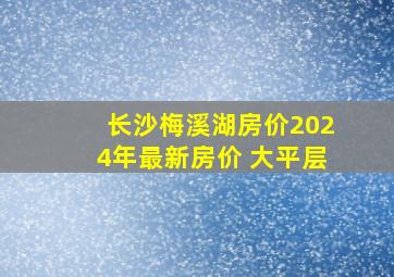 长沙梅溪湖房价2024年最新房价 大平层